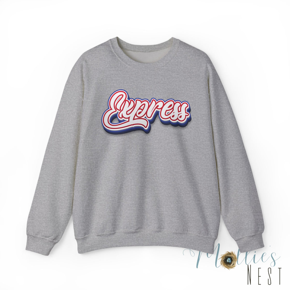 ADULT. Express Baseball Graphic Sweatshirt