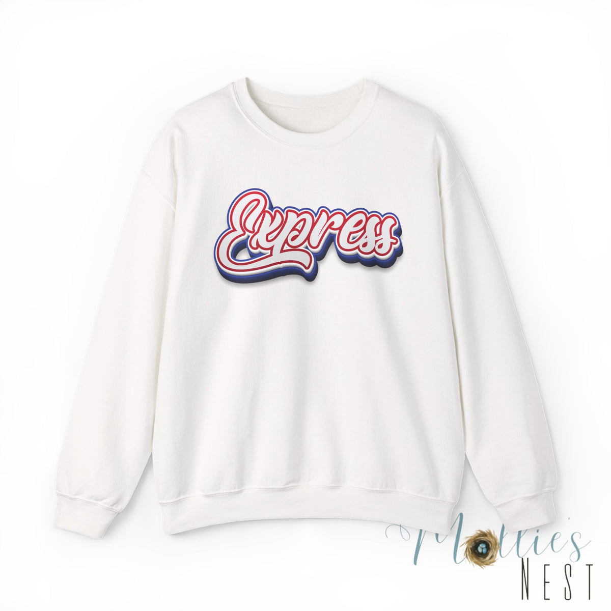 ADULT. Express Baseball Graphic Sweatshirt