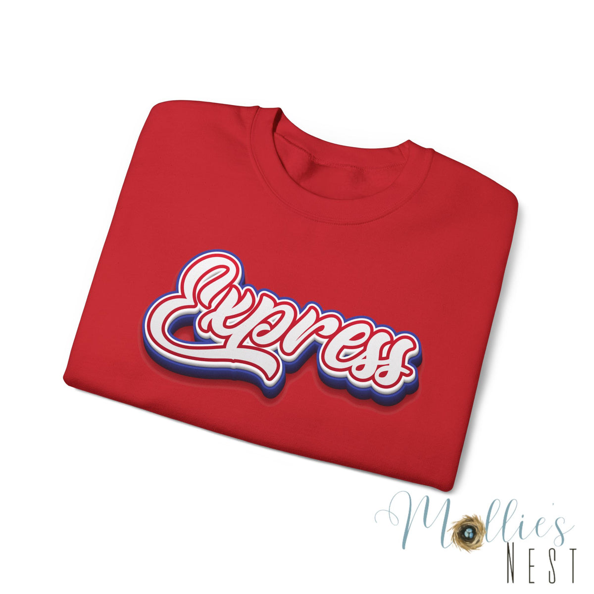 ADULT. Express Baseball Graphic Sweatshirt