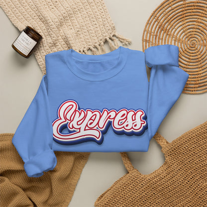 ADULT.  Express Baseball Graphic Sweatshirt