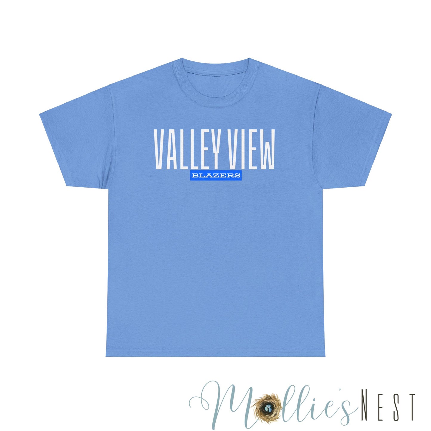 Unisex Heavy Cotton Tee. Valley View Classic School Name