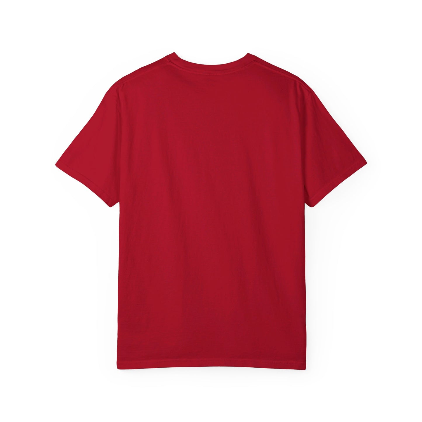 Unisex Jonesboro. Garment-Dyed T-shirt