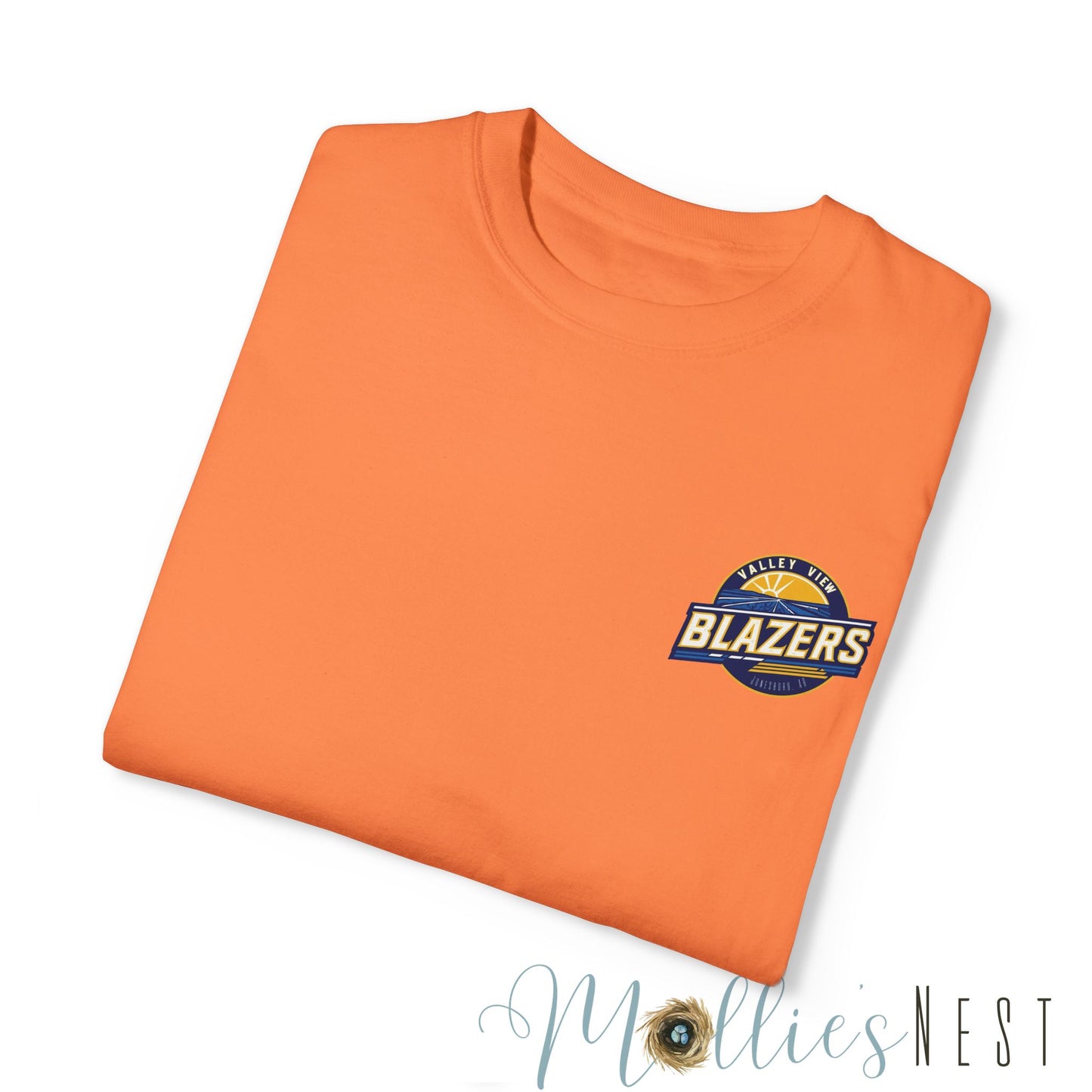 Unisex Garment-Dyed T-shirt. Valley View Blazers - CUSTOM Design. June 2025