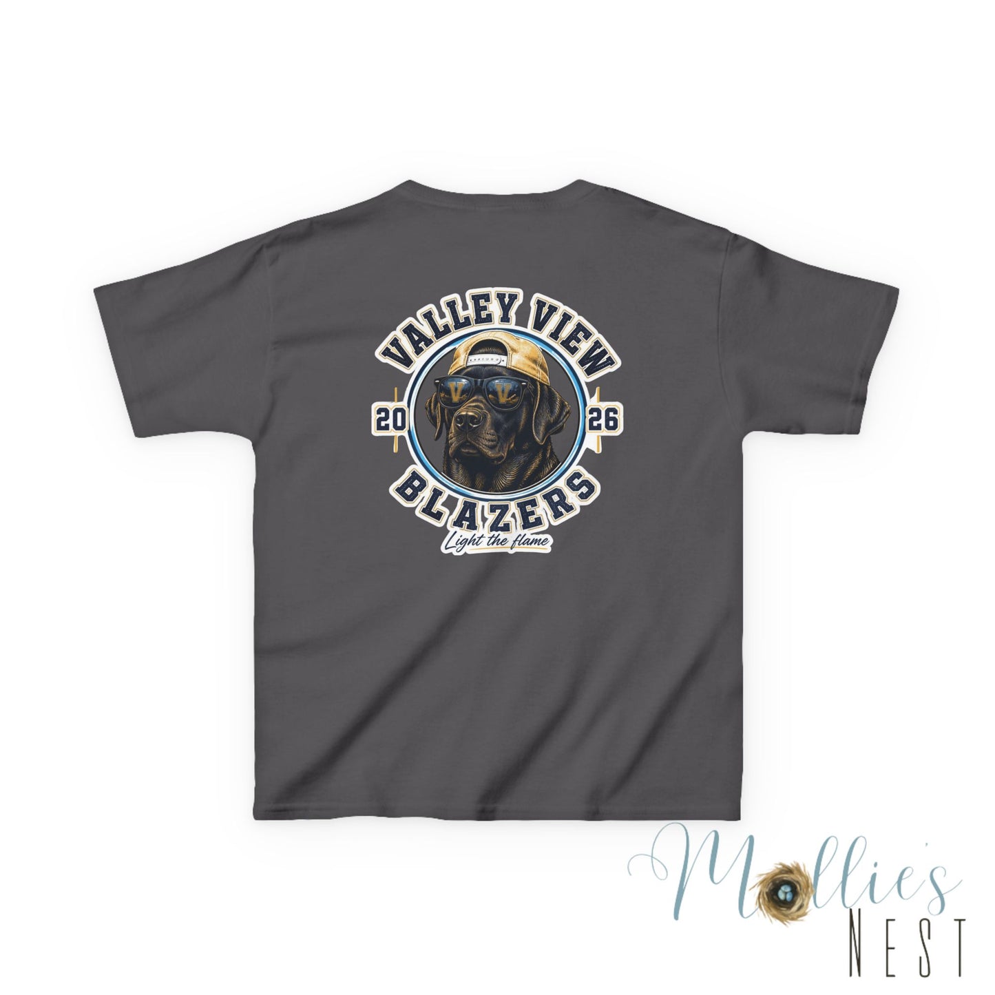 YOUTH.  Valley View Blazers Black Lab 2026 T-Shirt — Vintage Tee (2026)