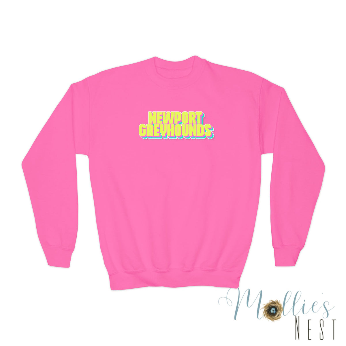 YOUTH. Newport Greyhounds Neon Crewneck Sweatshirt