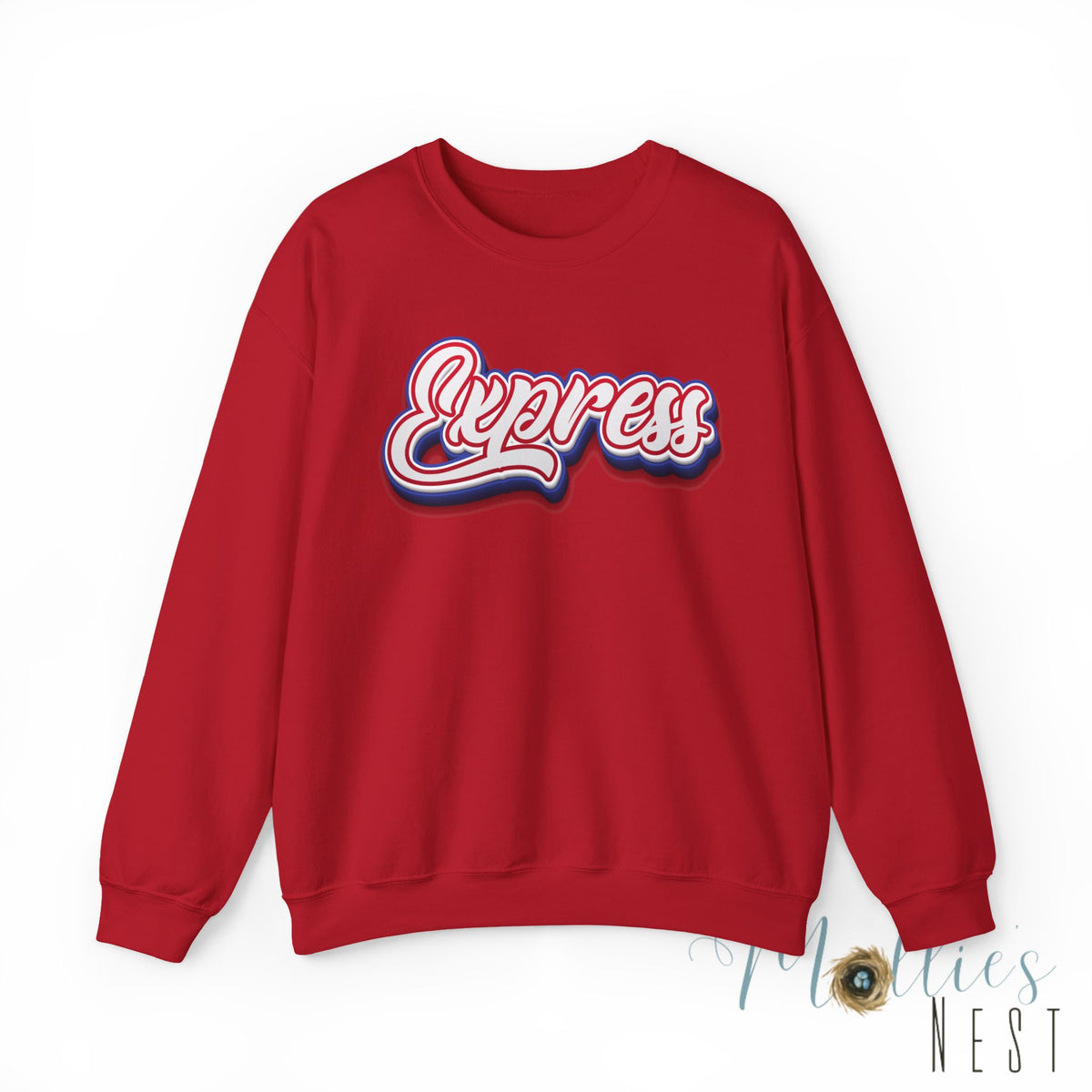 ADULT.  Express Baseball Graphic Sweatshirt