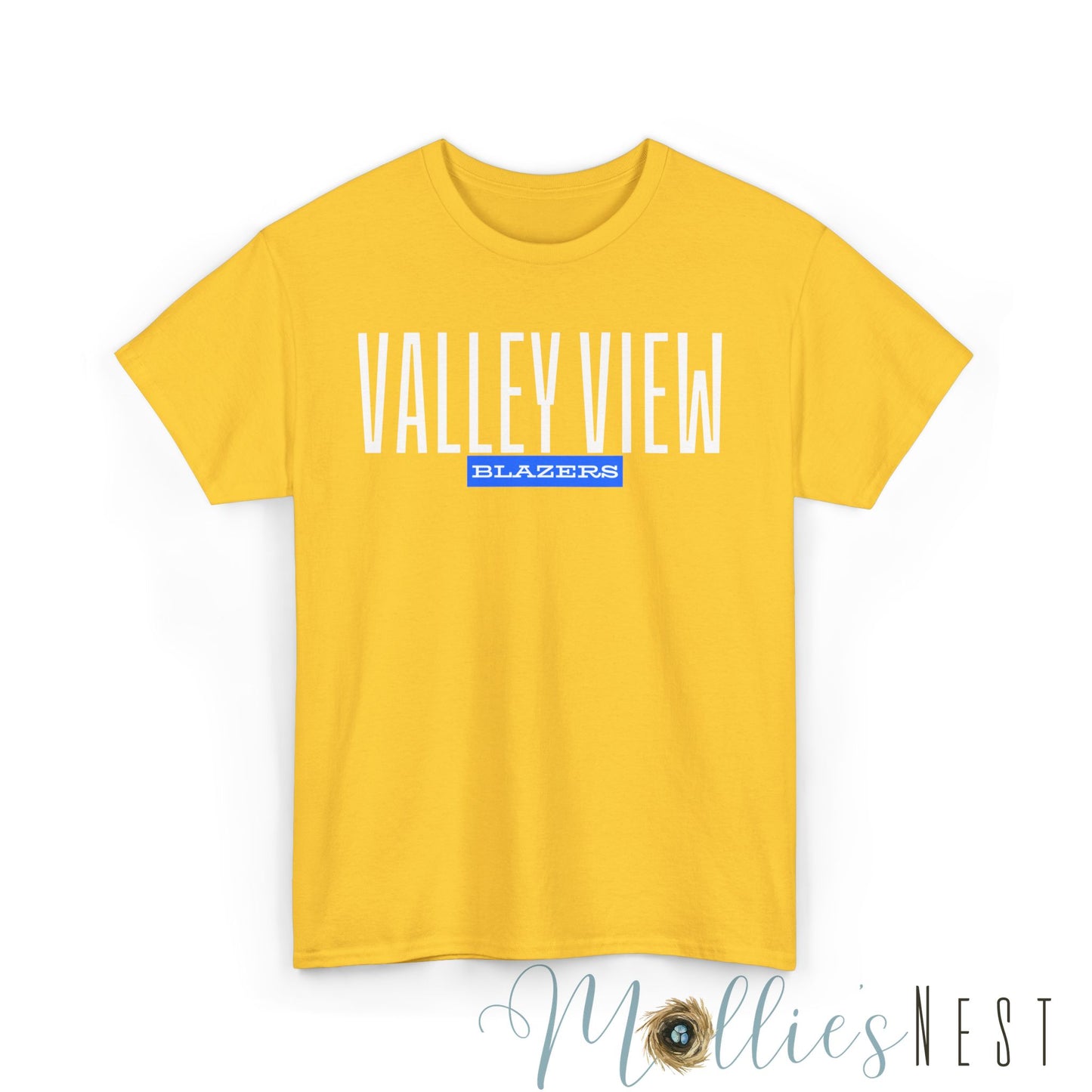 Unisex Heavy Cotton Tee. Valley View Classic School Name