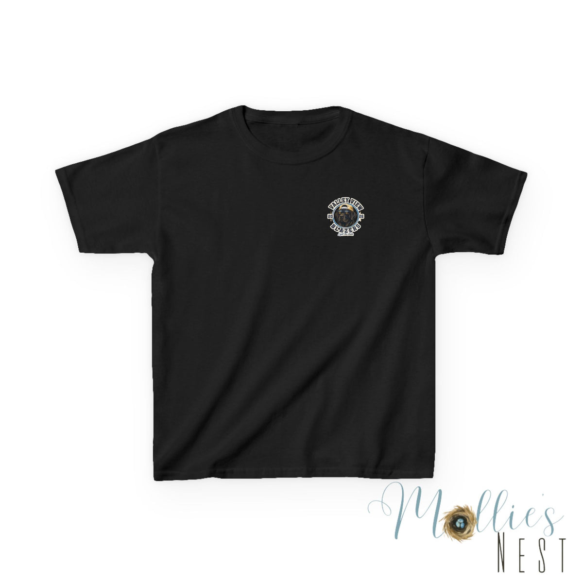 YOUTH.  Valley View Blazers Black Lab 2026 T-Shirt — Vintage Tee (2026)