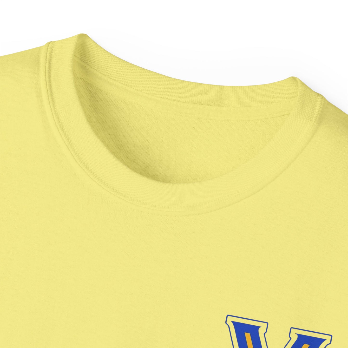 ADULT. Valley View Light the Flame Unisex Cotton Tee, Casual T-Shirt - Football - School Spirit