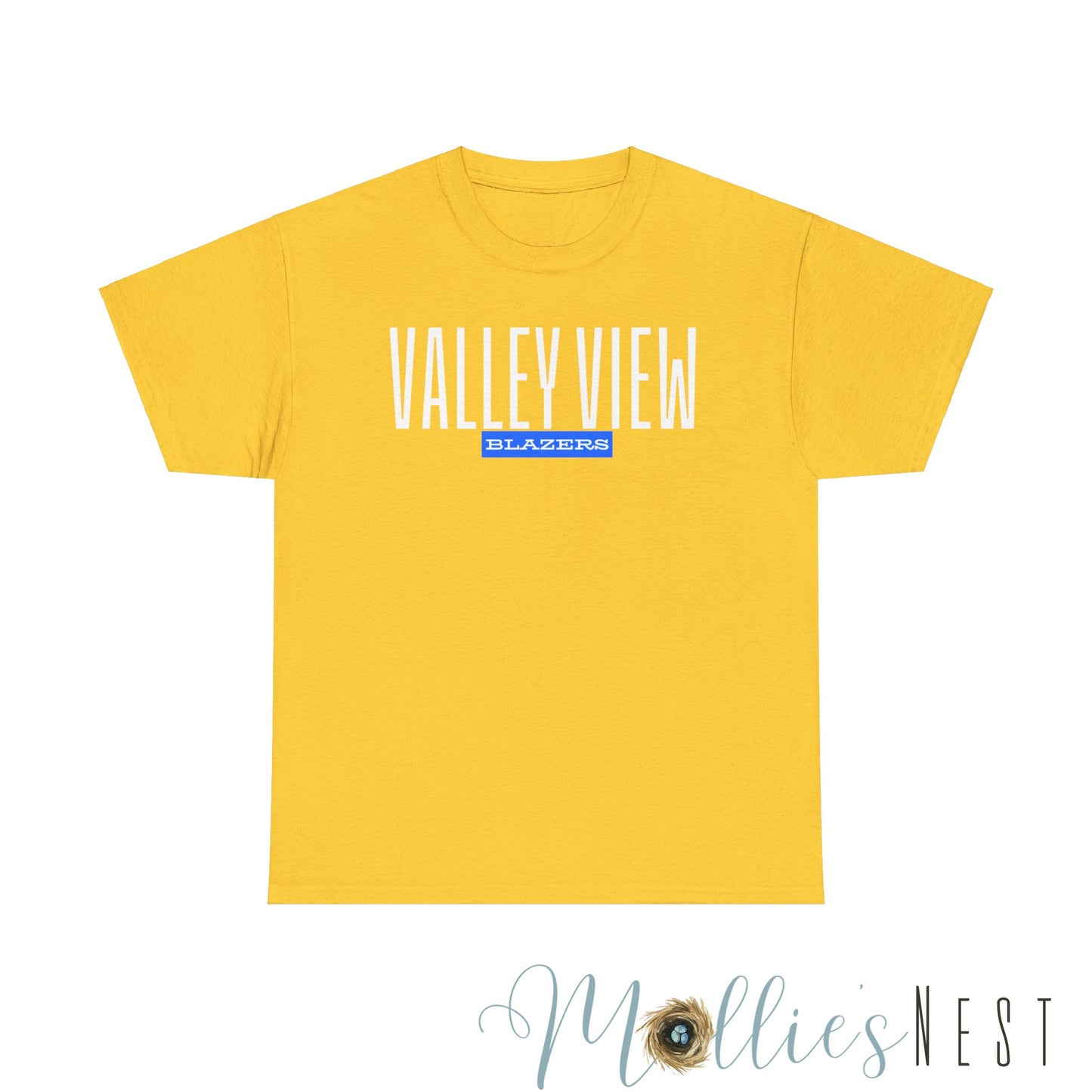 Unisex Heavy Cotton Tee. Valley View Classic School Name