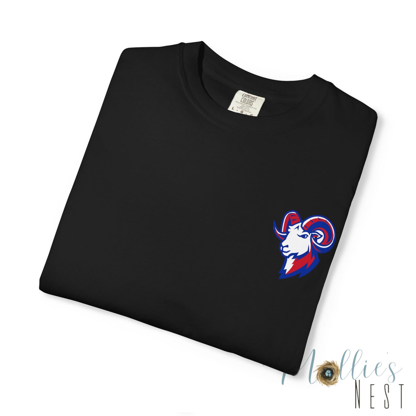 Paragould Rams Gameday Football T-Shirt — Arkansas Helment