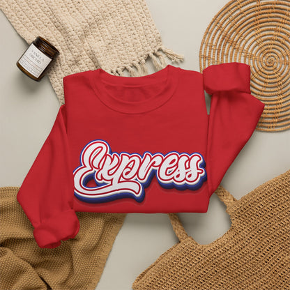 ADULT.  Express Baseball Graphic Sweatshirt