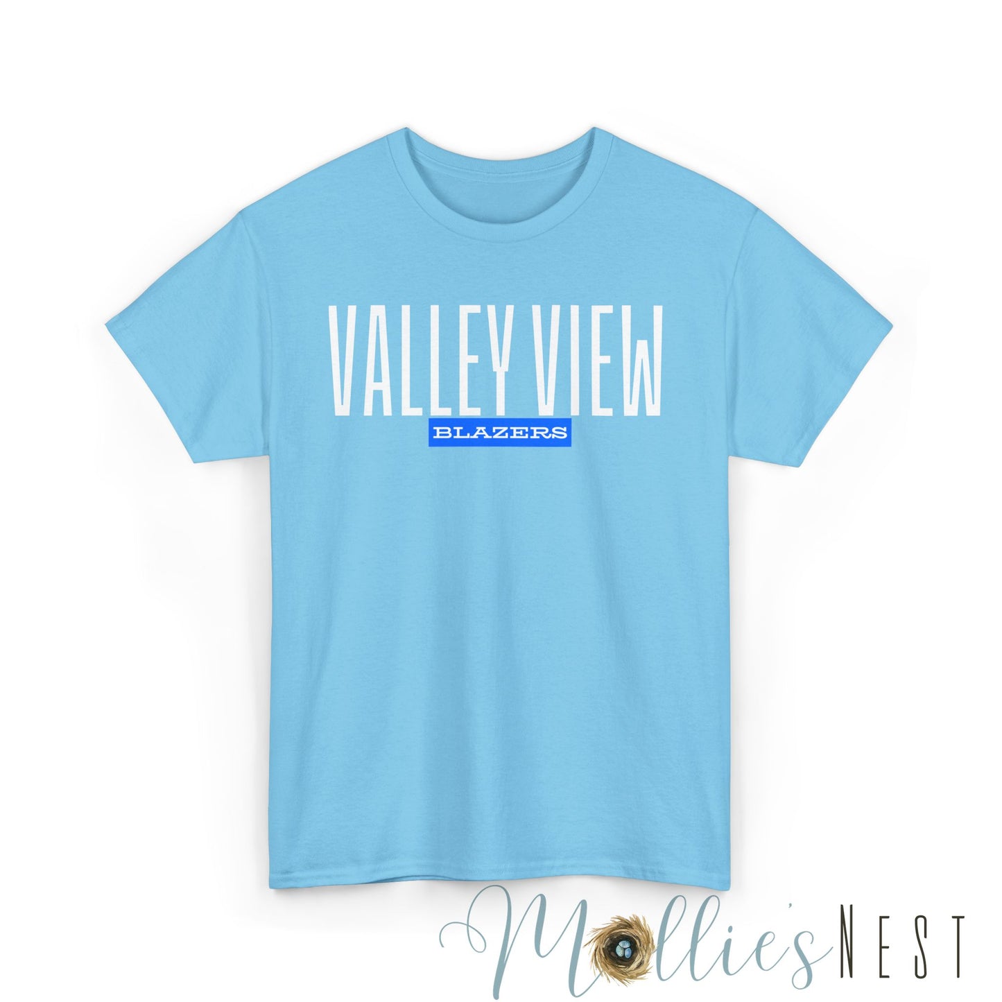 Unisex Heavy Cotton Tee. Valley View Classic School Name