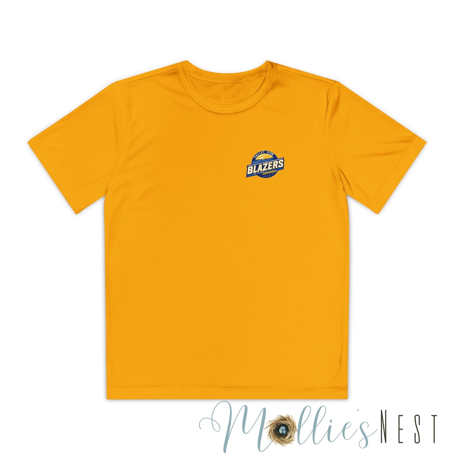 Youth Sports Tee - Valley View Blazers, Athletic Shirt, Team Apparel- Front/Back design - June 2025