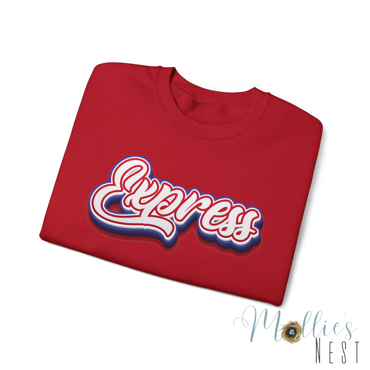 ADULT.  Express Baseball Graphic Sweatshirt