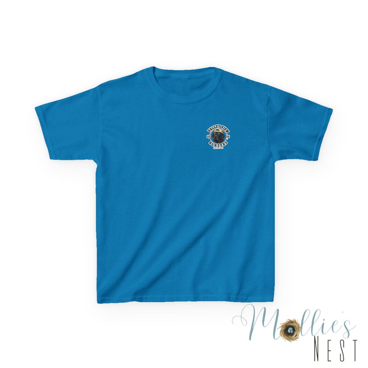 YOUTH.  Valley View Blazers Black Lab 2026 T-Shirt — Vintage Tee (2026)