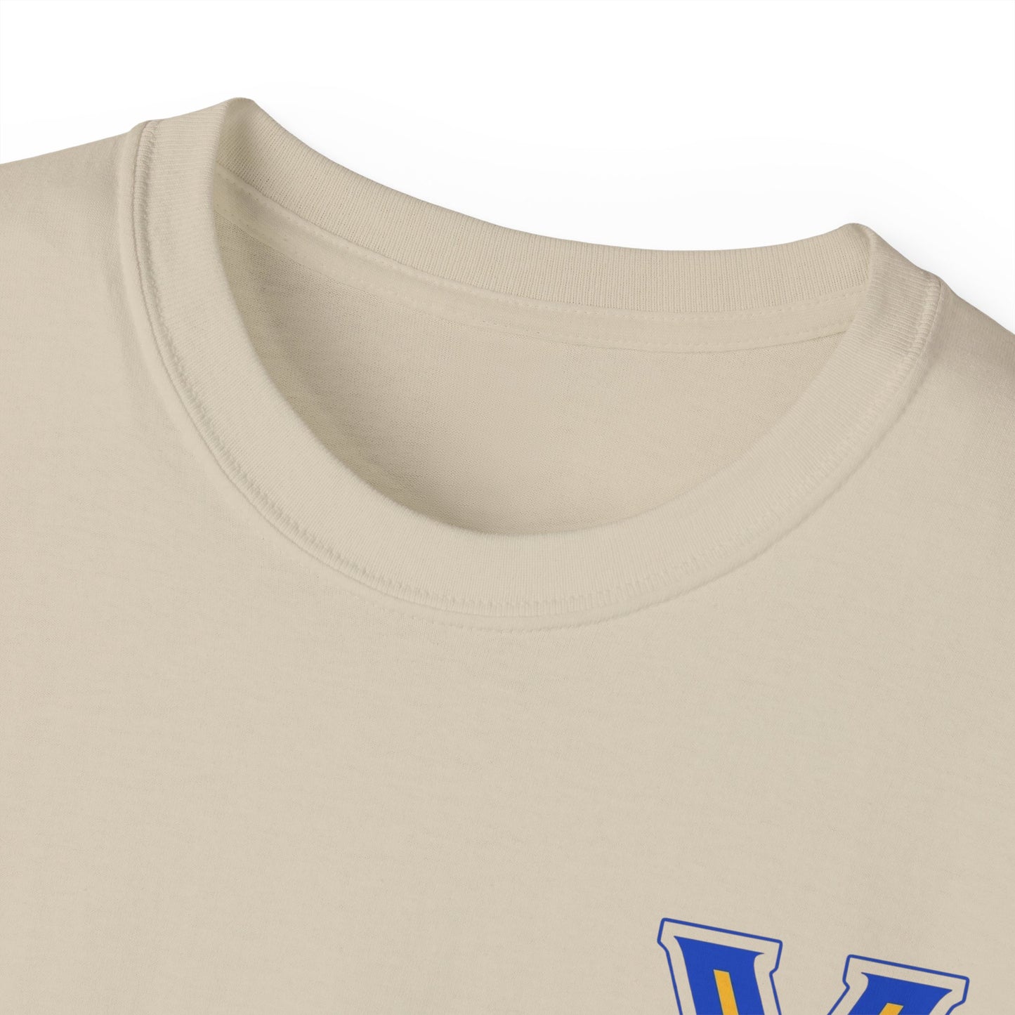 ADULT. Valley View Light the Flame Unisex Cotton Tee, Casual T-Shirt - Football - School Spirit