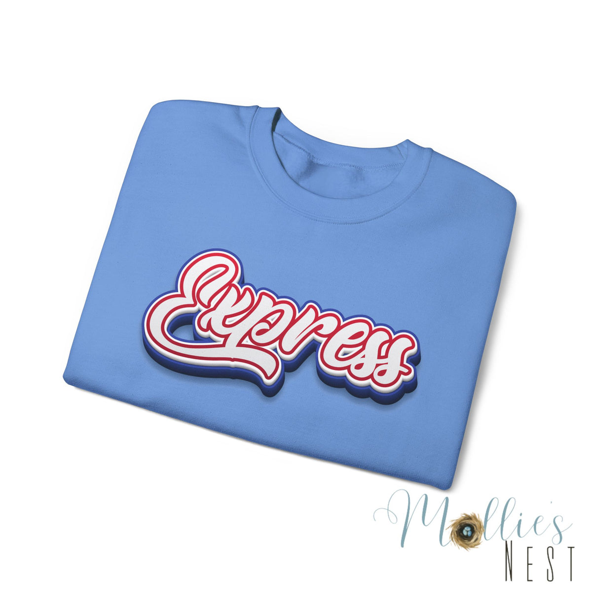 ADULT.  Express Baseball Graphic Sweatshirt