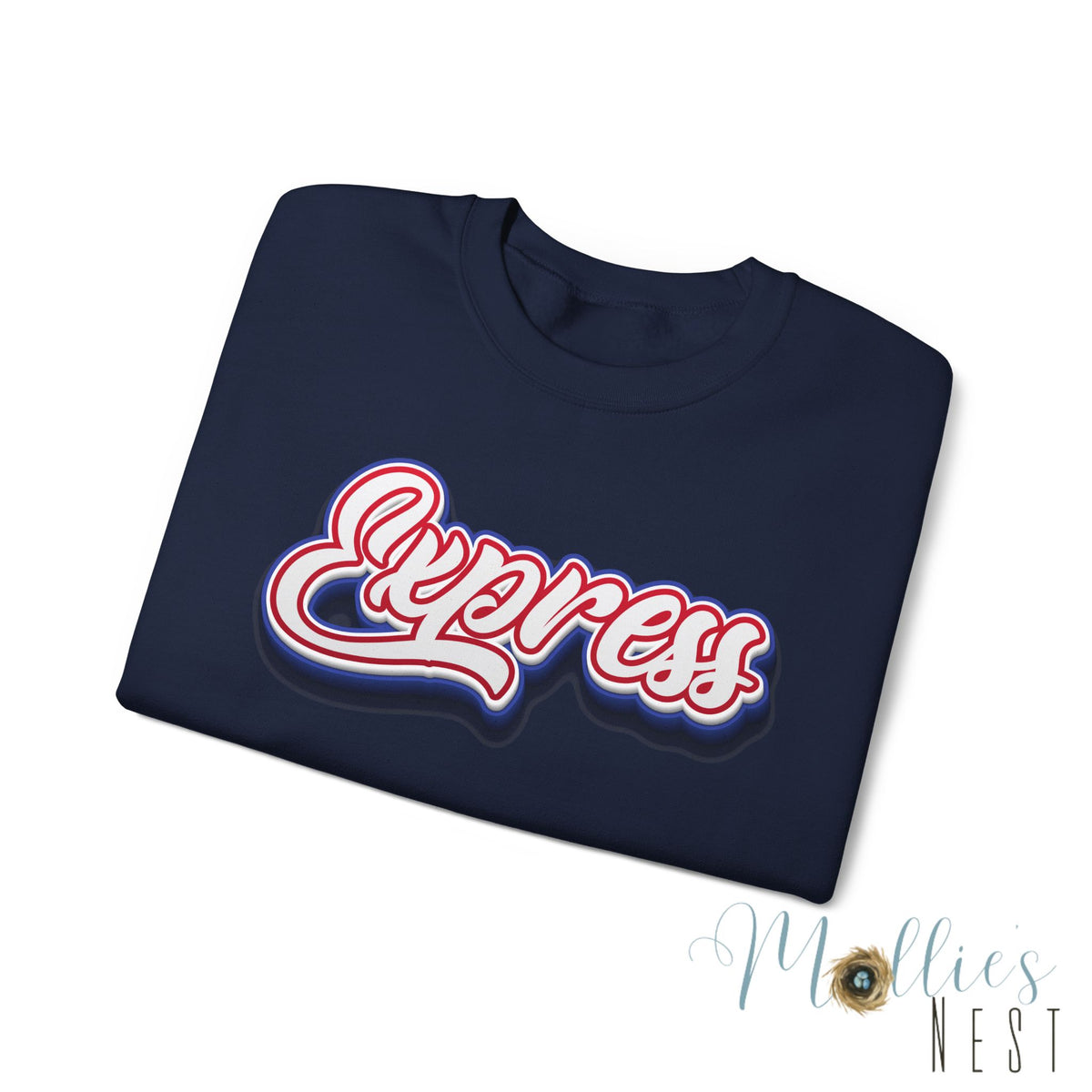 ADULT.  Express Baseball Graphic Sweatshirt