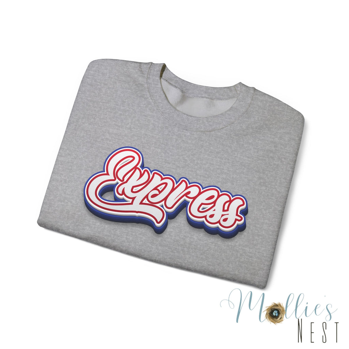 ADULT.  Express Baseball Graphic Sweatshirt