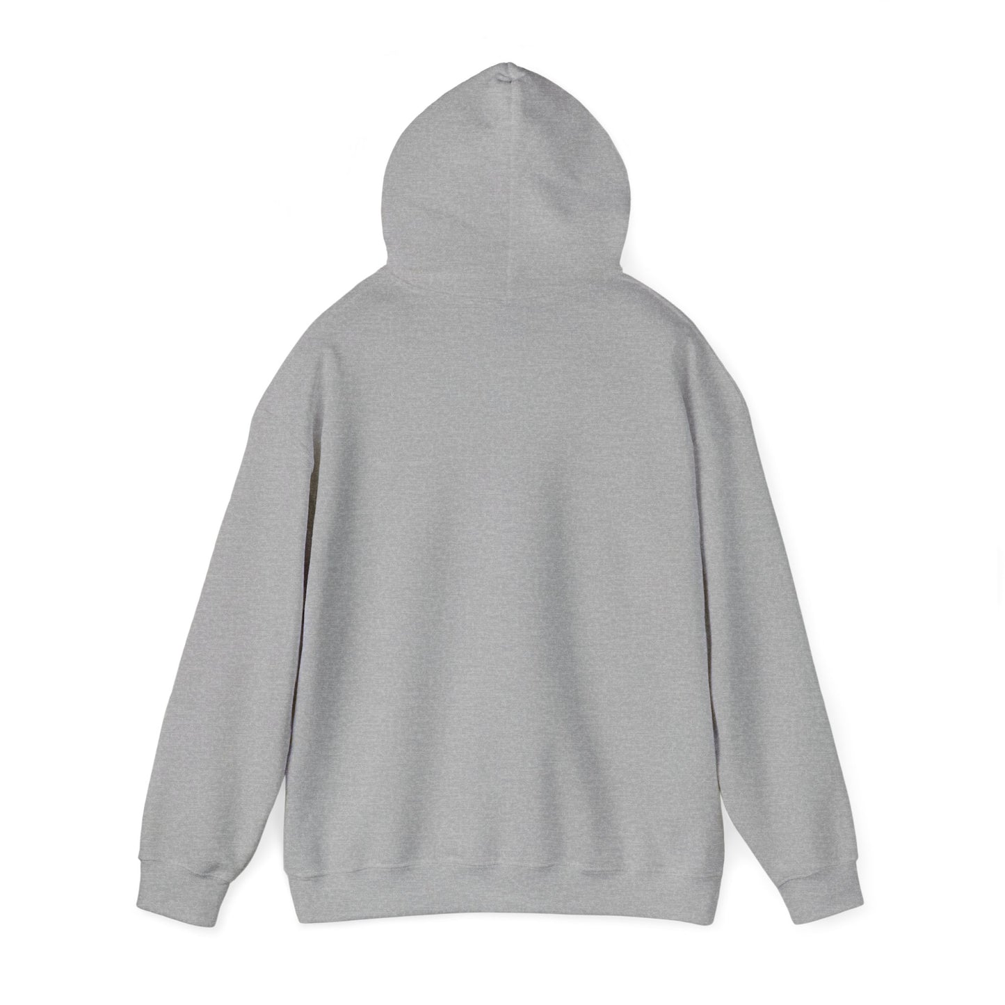 Unisex Valley View Heavy Blend™ Hooded Sweatshirt