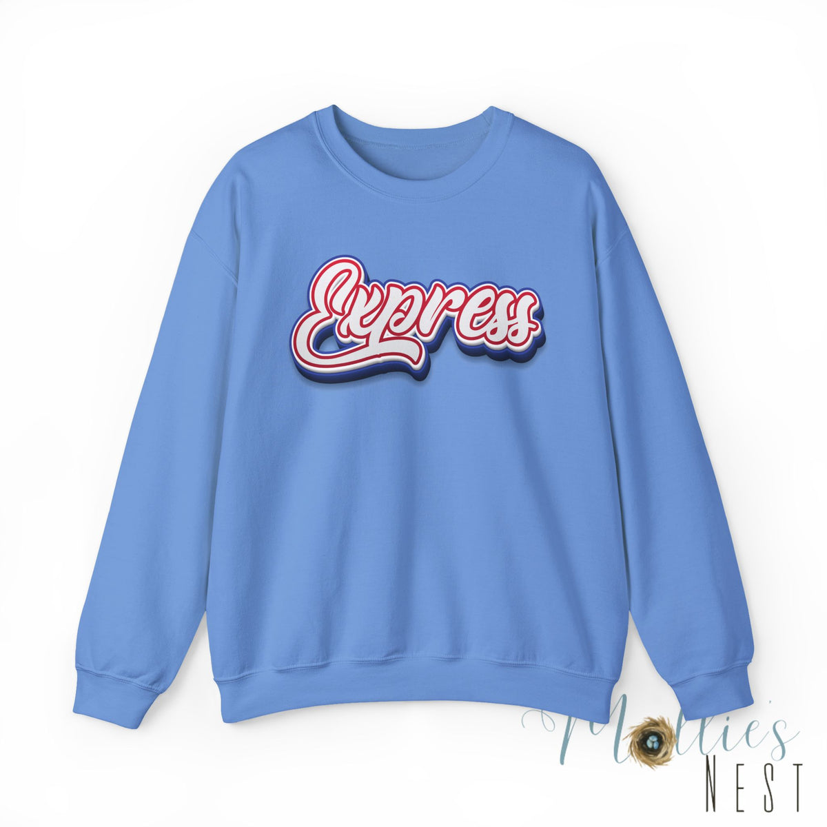 ADULT.  Express Baseball Graphic Sweatshirt