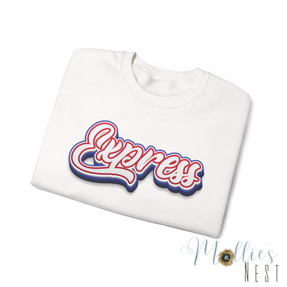 ADULT.  Express Baseball Graphic Sweatshirt