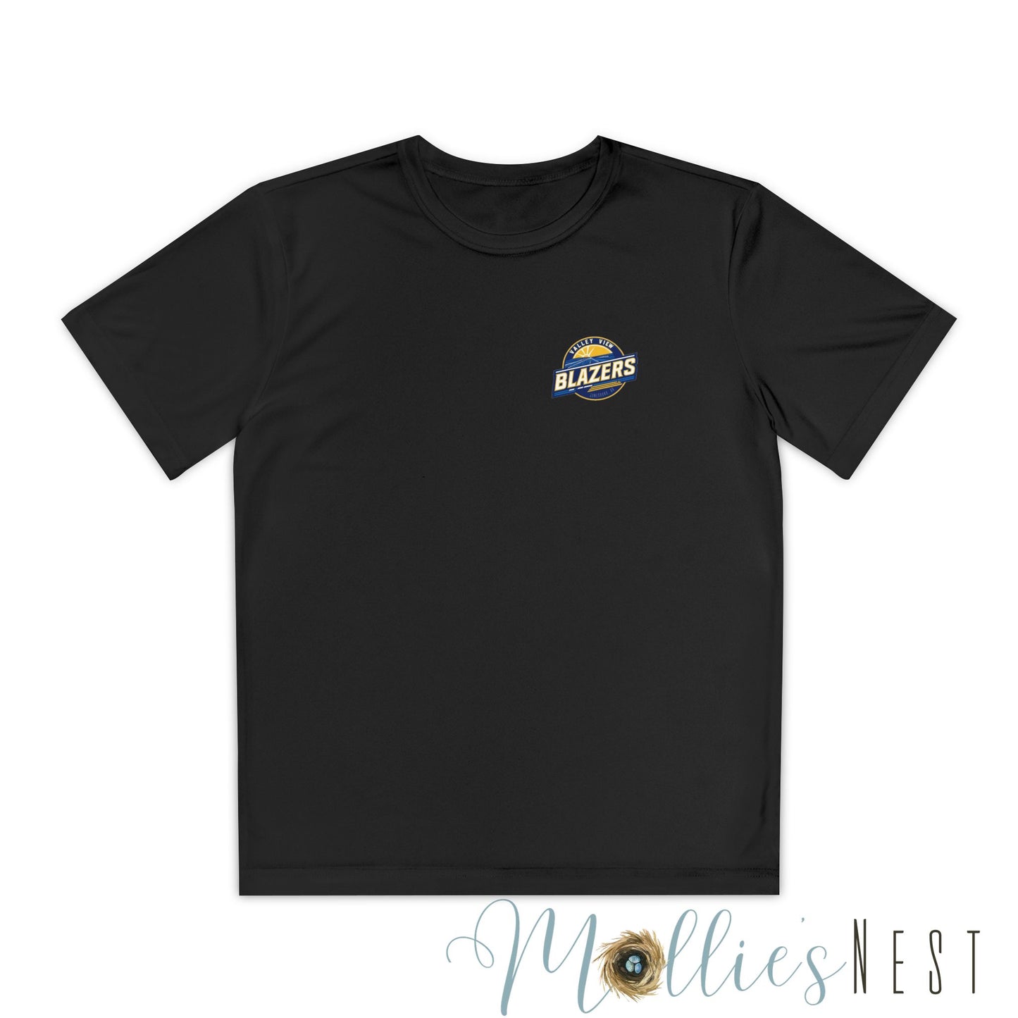 Youth Sports Tee - Valley View Blazers, Athletic Shirt, Team Apparel- Front/Back design - June 2025